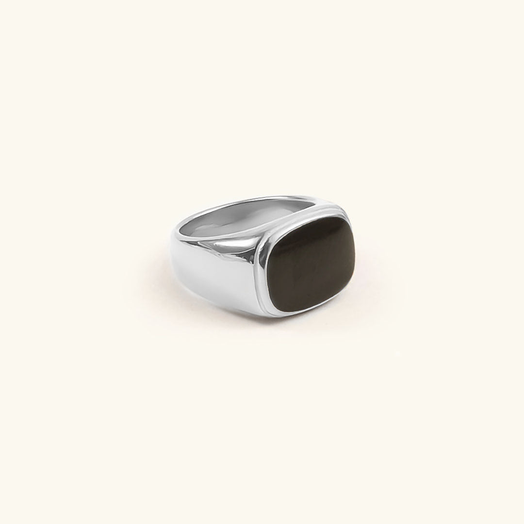 Black Signet Ring – Gold & Silver Stainless Steel, 14k Plated, Hypoallergenic Silver